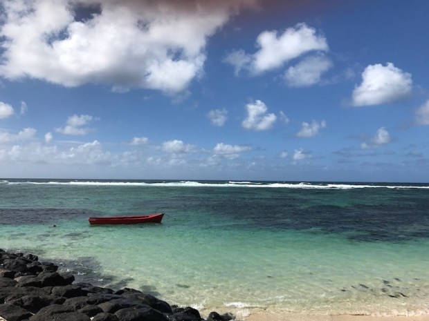 Mauritius kryje wiele mało uczęszczanych, cudownych plaż. Przed wejściem do wody zasięgnij języka czy można...