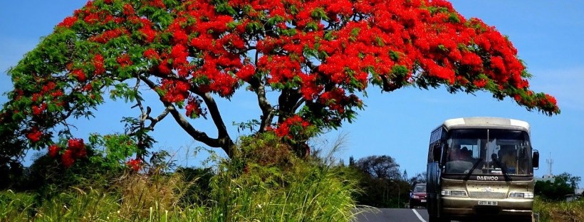 mauritius poradził sobie z wirusem, śluby i wycieczki znów czekają na turystów