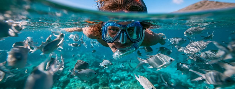 czy można przywieźć z Mauritiusa koral albo muszle ?